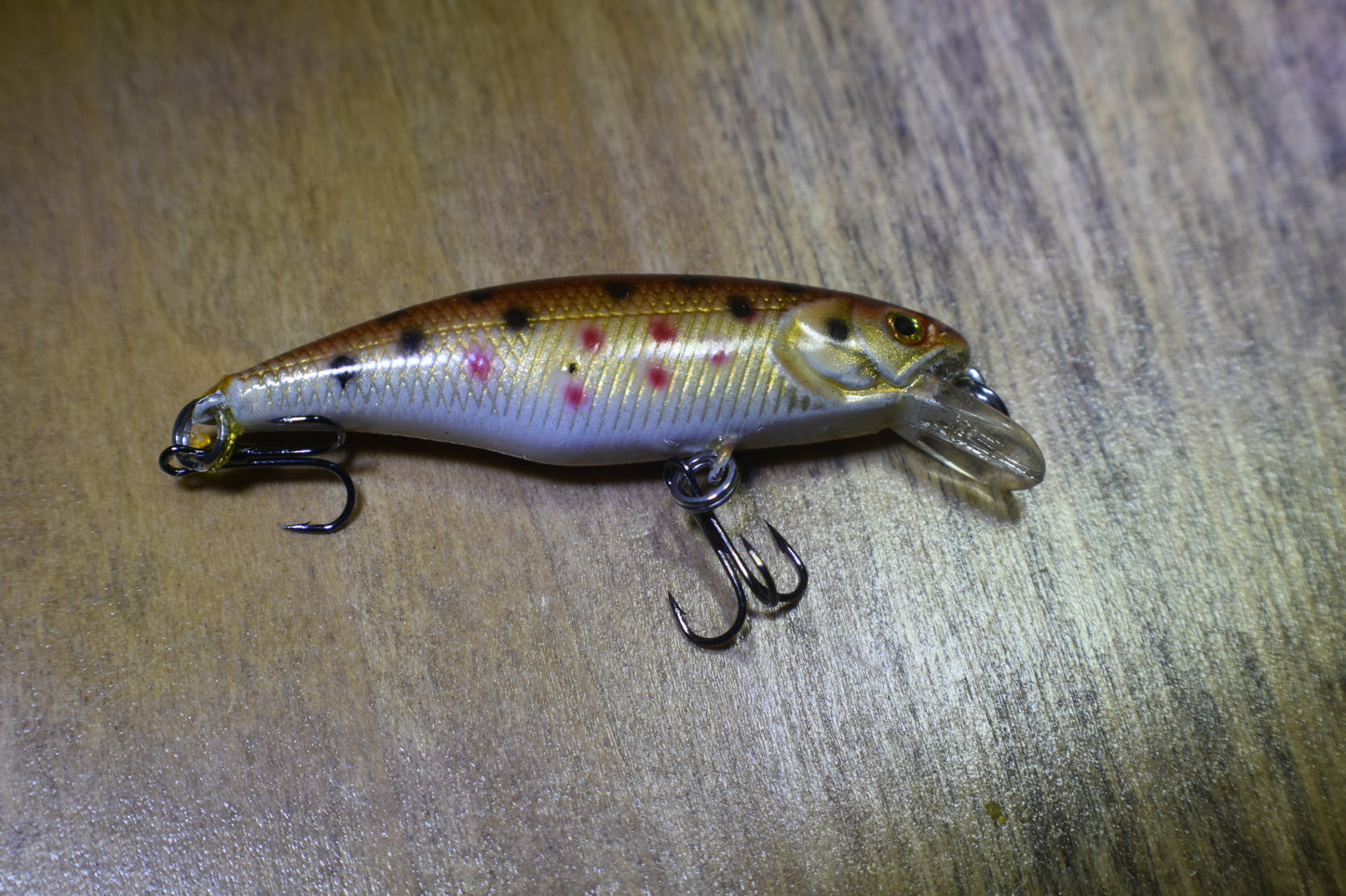 1T DFK Custom, Tiny but Mighty Minnows