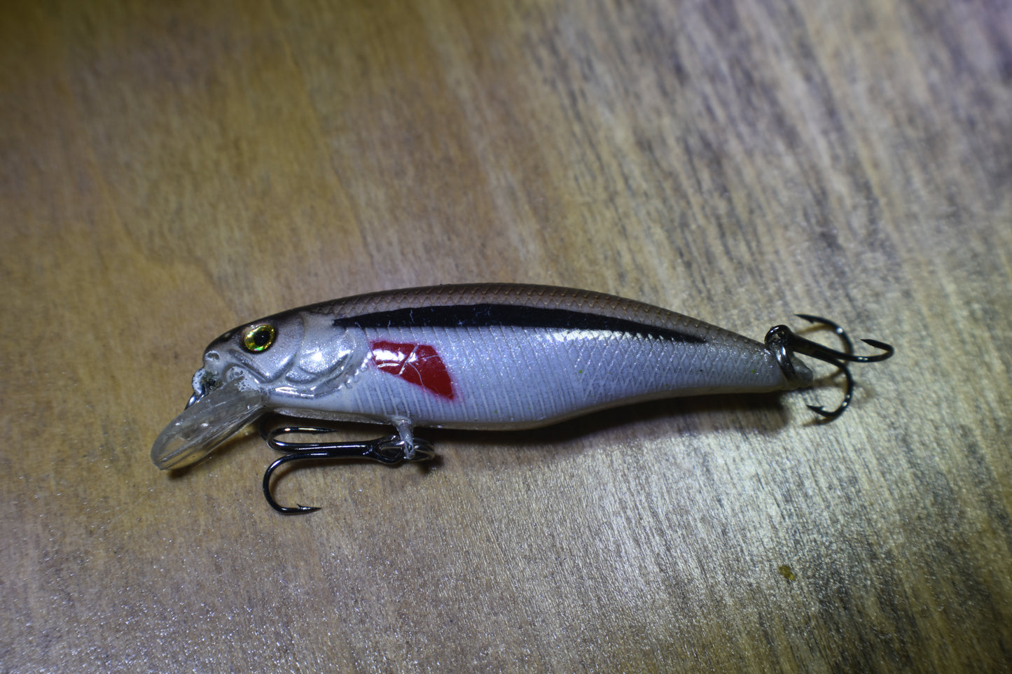 1T DFK Custom, Tiny but Mighty Minnows