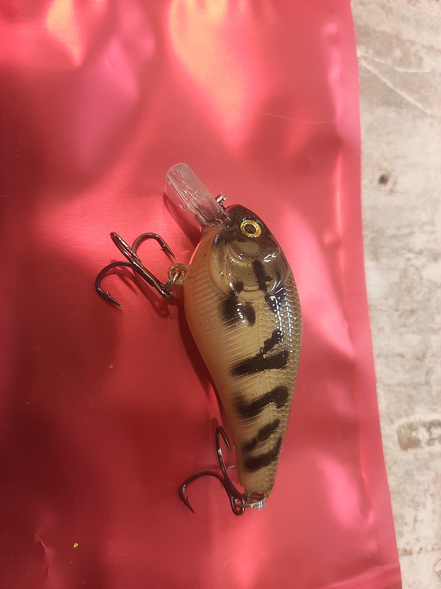 1P DFK Custom Mini Square Bill Crank Bait